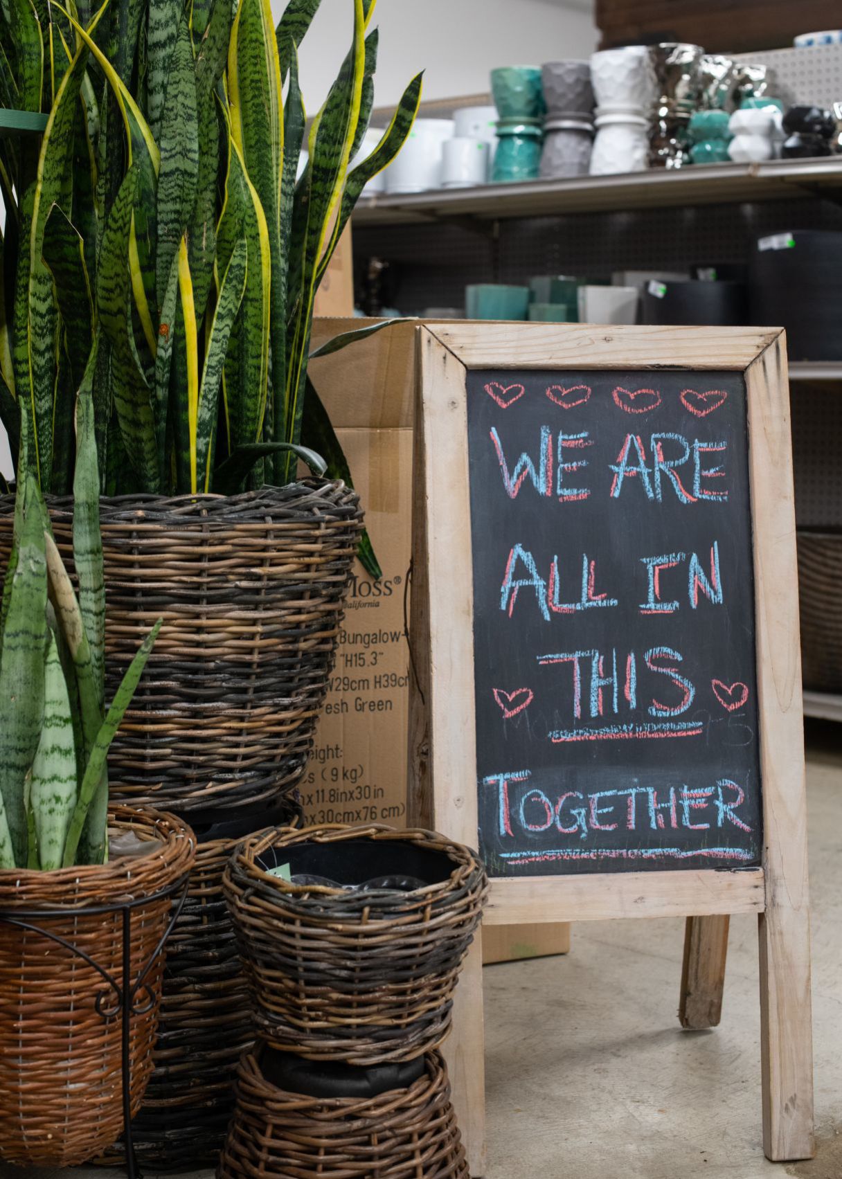 Plant stores salvage biggest season by adapting amid crisis